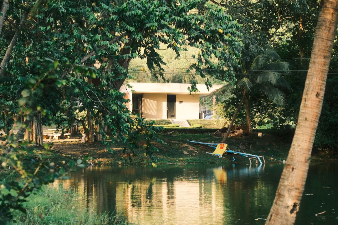 A pond reflecting a cream building, with a palm trunk on the right and a yellow sign hanging over the water.