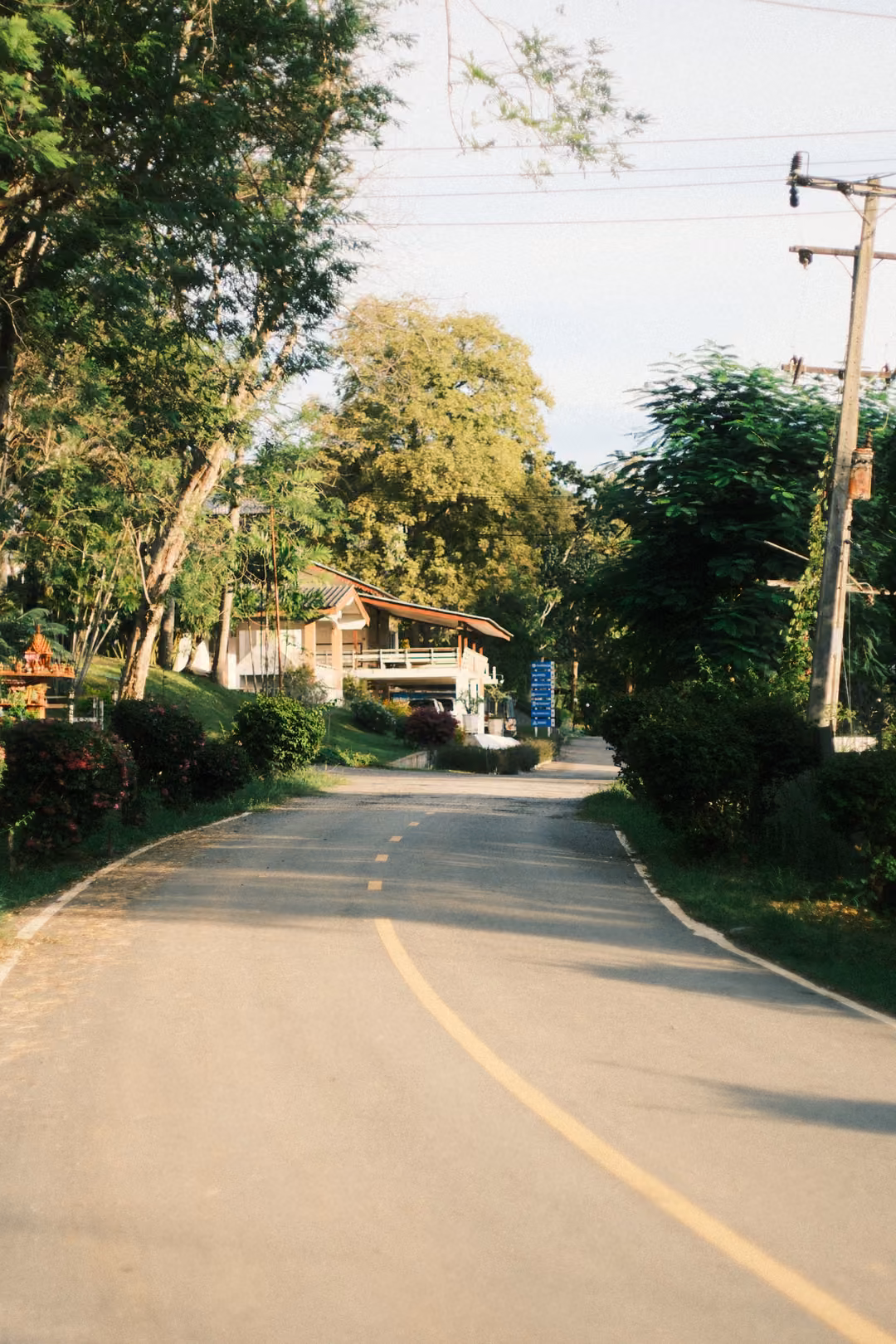 Quiet curving road with a yellow centre line under tall trees, houses and power poles ahead