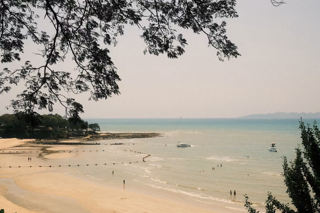 A sandy beach and turquoise bay framed by tree branches, a buoy line, boats and swimmers in the shallows