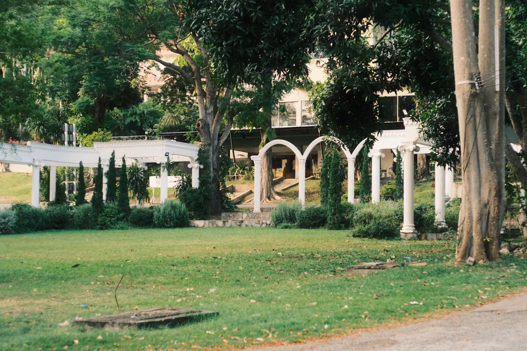 A white pergola with arches and columns among cypress trees and hedges, a broad tree trunk on the right.