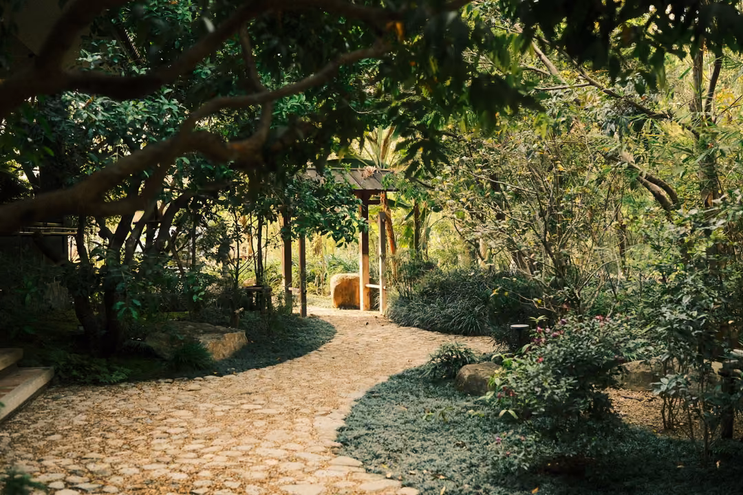 Curving pebble path through a shaded garden of trees and low ground cover toward a wooden pavilion
