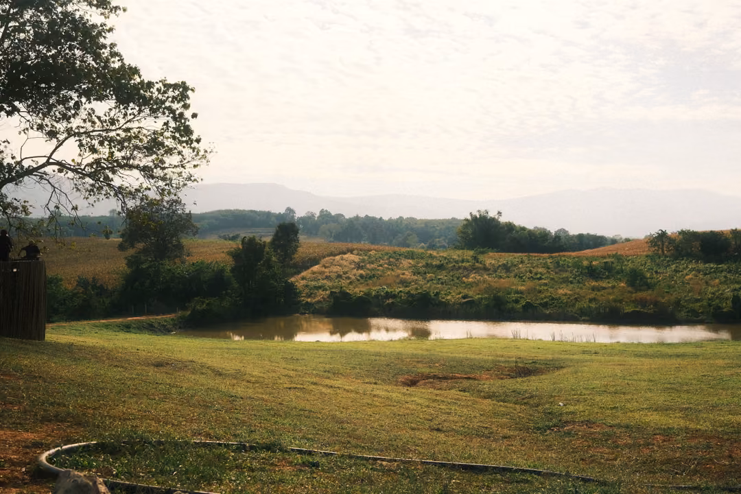A pond in a green valley framed by a tree on the left, with a hose curving across the lawn.