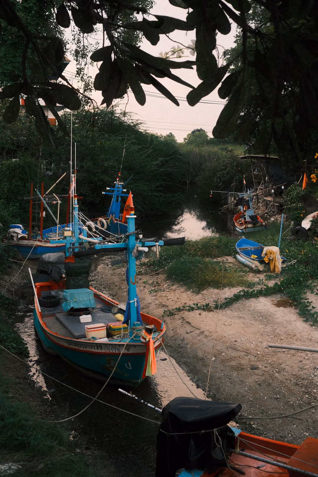 Vertical frame of colourful wooden fishing boats moored in a narrow muddy creek, overhanging tree branches above