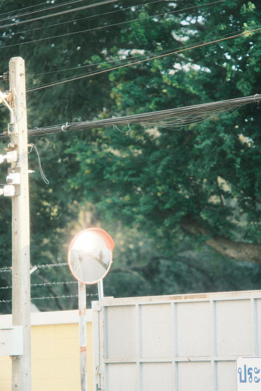 Vertical view of a convex road mirror, a pole with cameras, barbed wire and dense trees