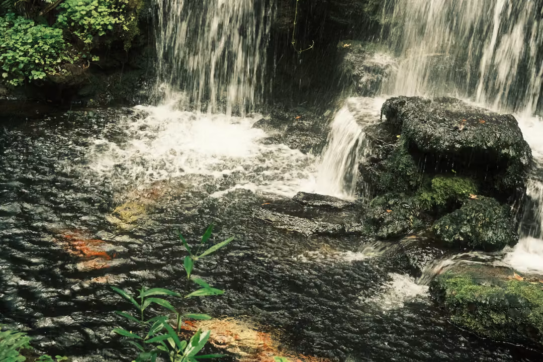 The foot of a waterfall pouring around a mossy boulder, an orange koi faintly visible in dark water.