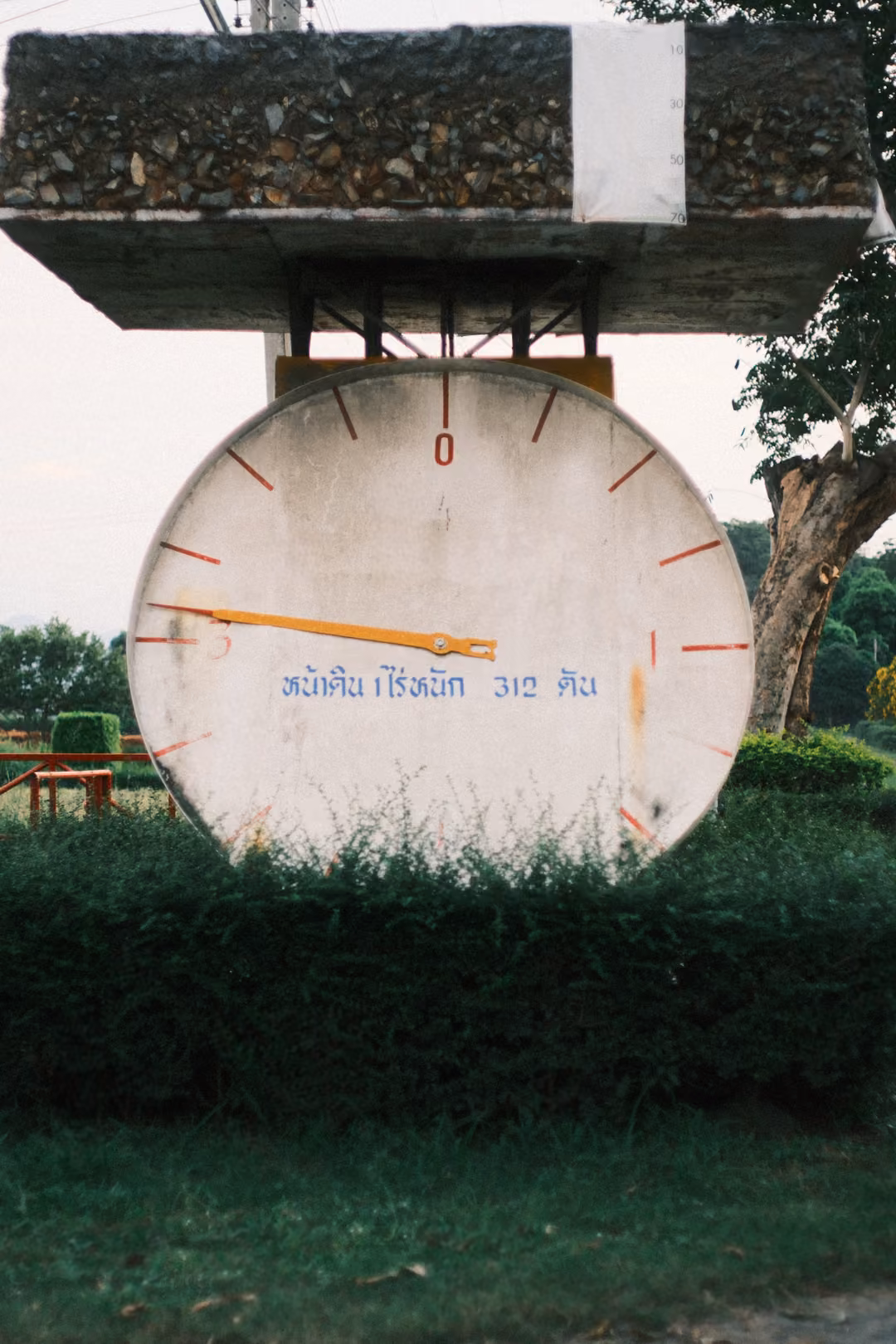 Large weighing-scale dial sign with a needle and Thai text, mounted under a concrete slab beside a hedge