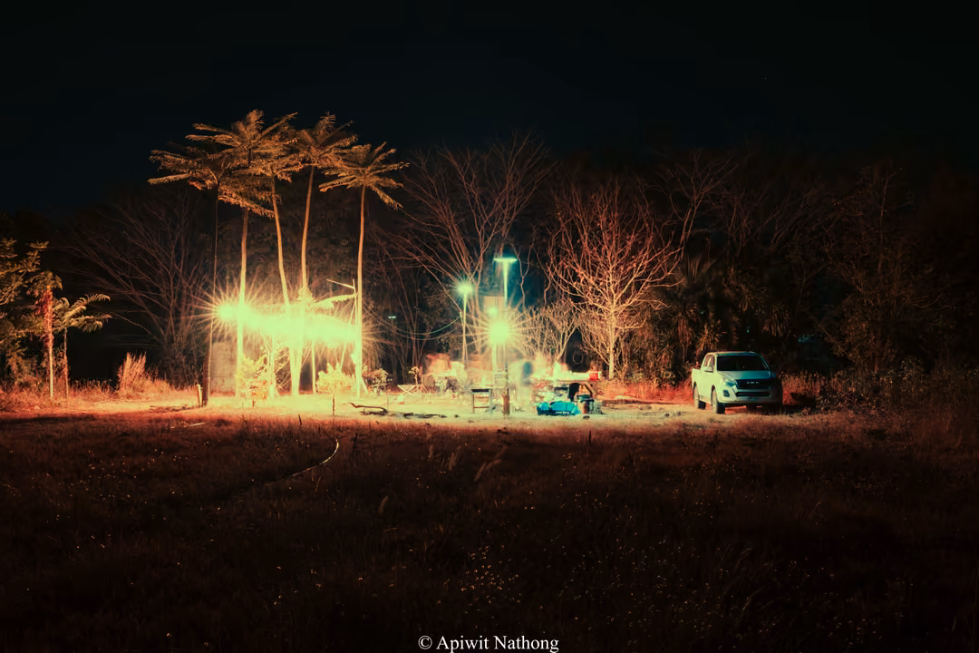 Campsite at night in an open field, string lights and lamps glowing under palm trees, a pickup truck parked nearby