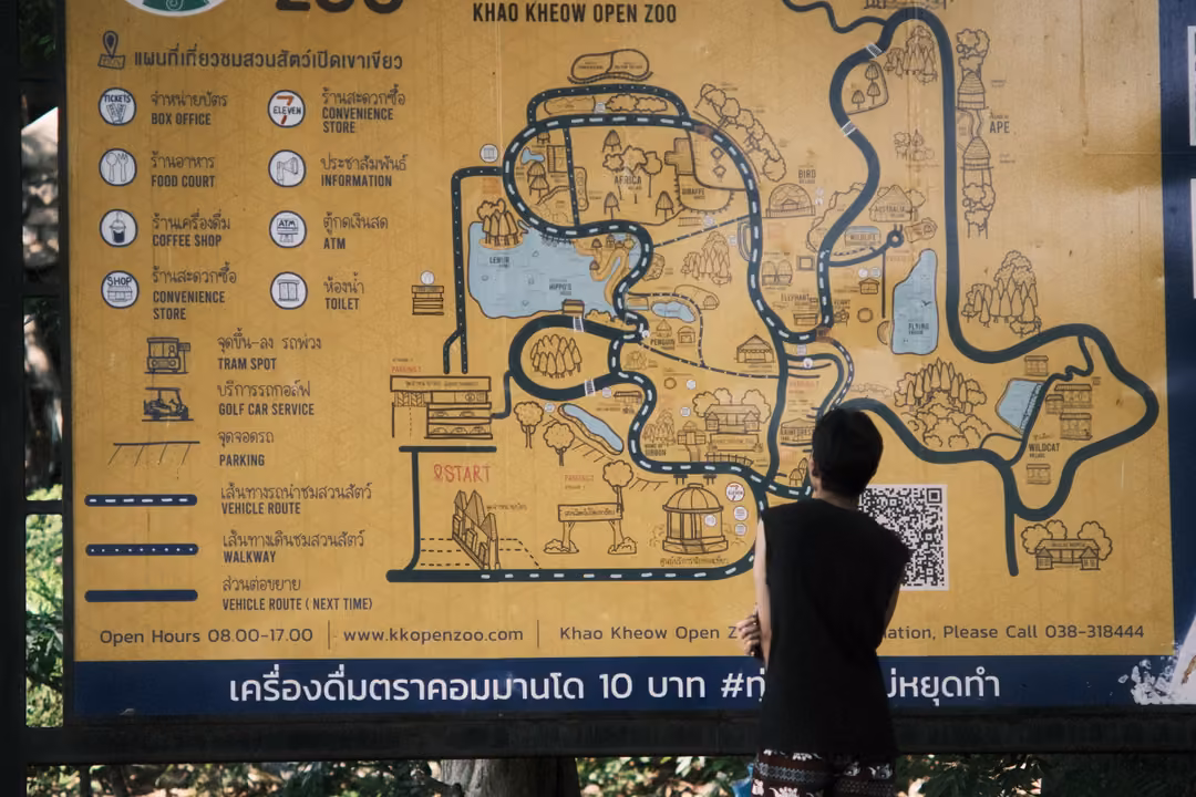 A person in black studies a large yellow illustrated zoo map board with routes, icons and a legend