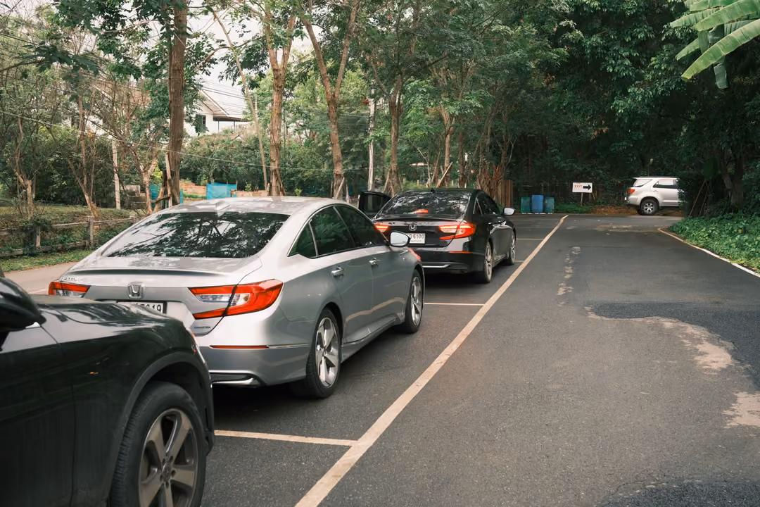 A tree-lined car park with a silver sedan, a black car and a white SUV on damp tarmac.