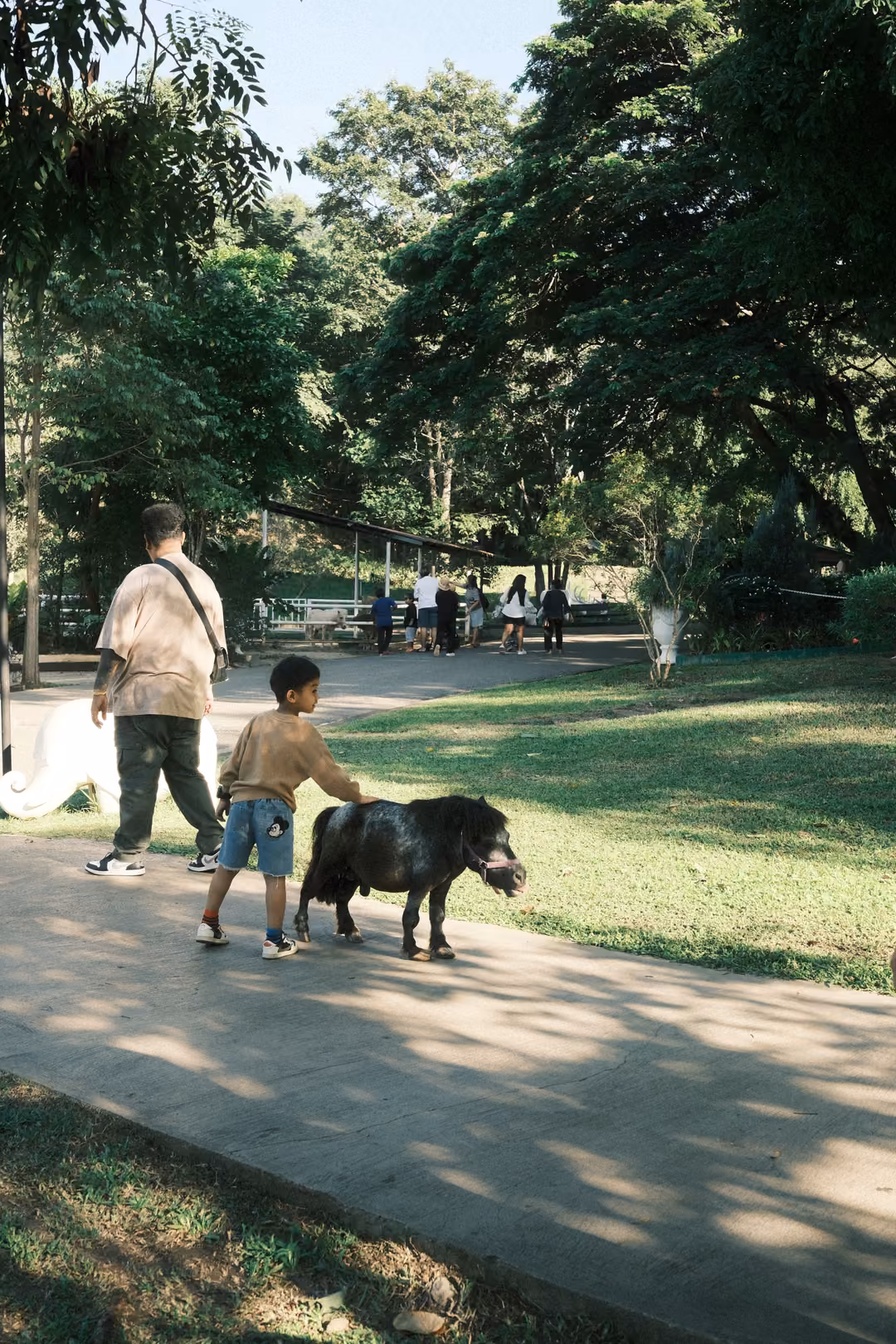 Man and a boy walking a small dark pony along a park path, sunlit lawn and trees behind