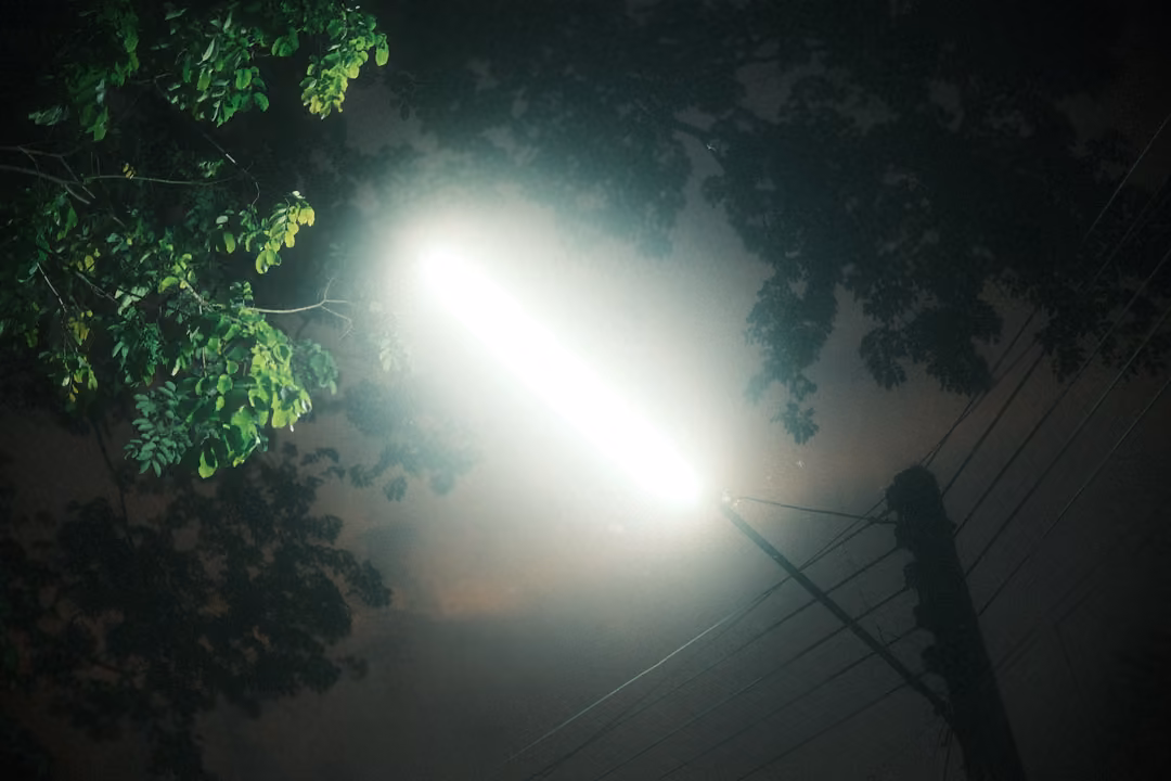 Bright white streetlamp glaring through dark leaves at night, power lines and a pole at the right