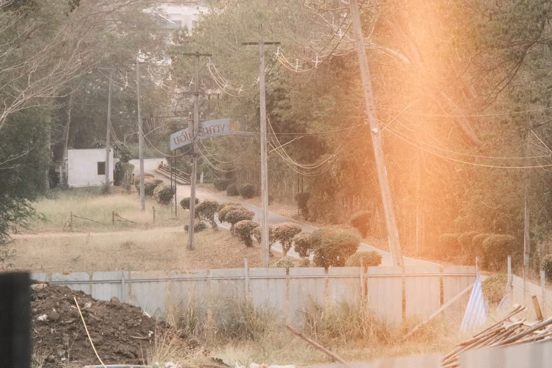 Orange light leak washing over a roadside with trimmed round shrubs, a wooden fence and power poles
