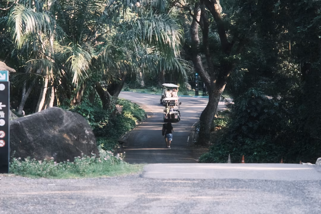 A paved road curves through tall palms and trees, a distant cart and a person on a bike, a large boulder in front
