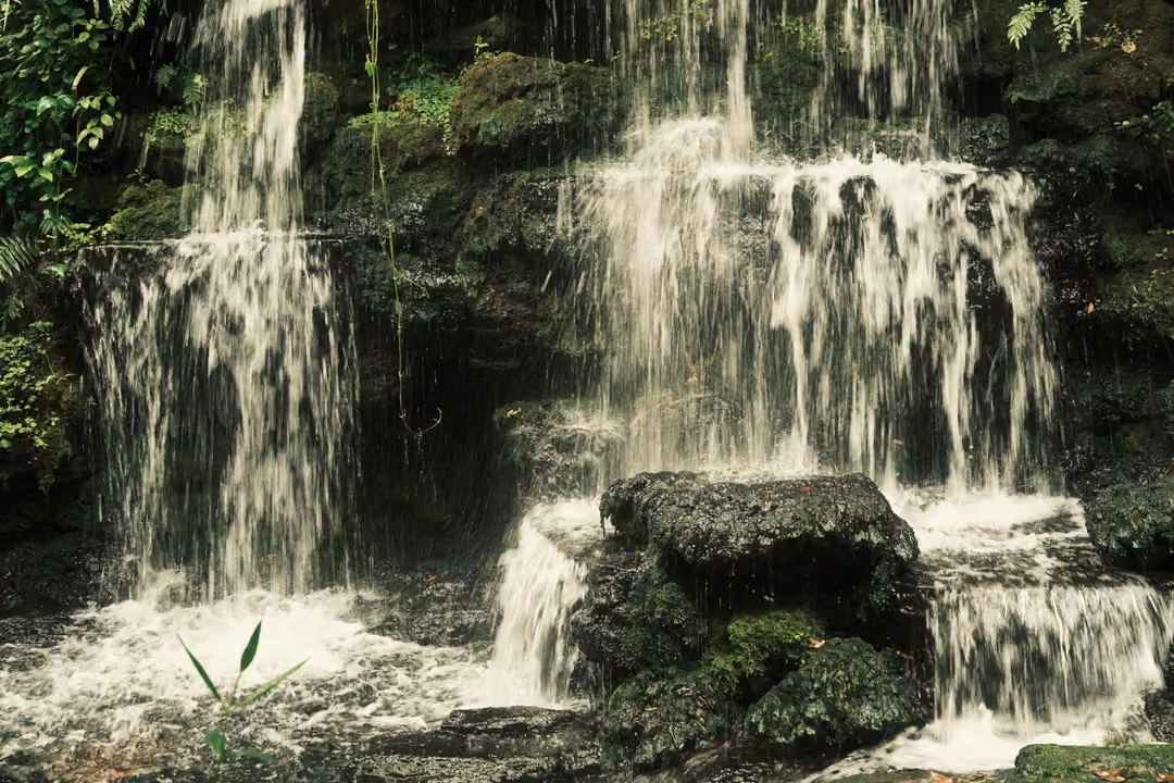 Two tiers of waterfall falling over dark rock into a frothy pool, with ferns at the edges.
