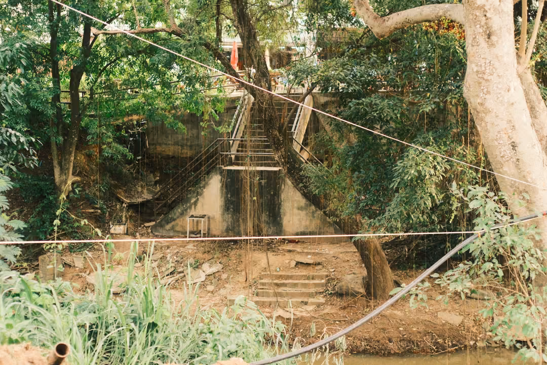 Concrete steps climbing a riverbank among trees and vines, with cables strung across the scene.