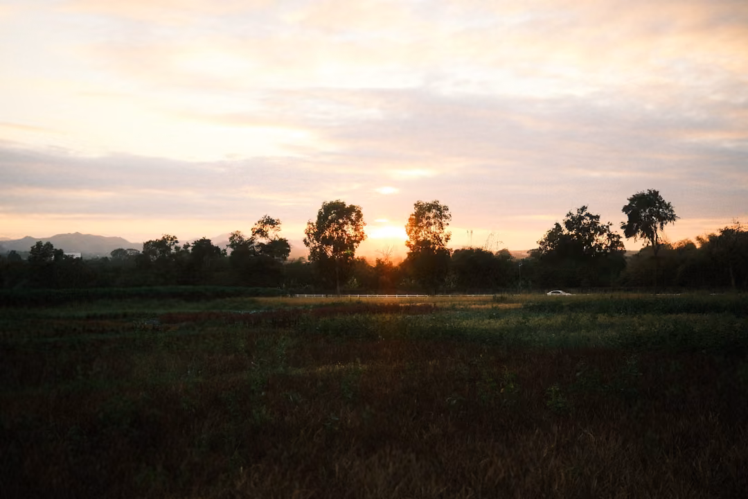 Same sunset view a few seconds later, sun lower between silhouetted trees, field in shadow