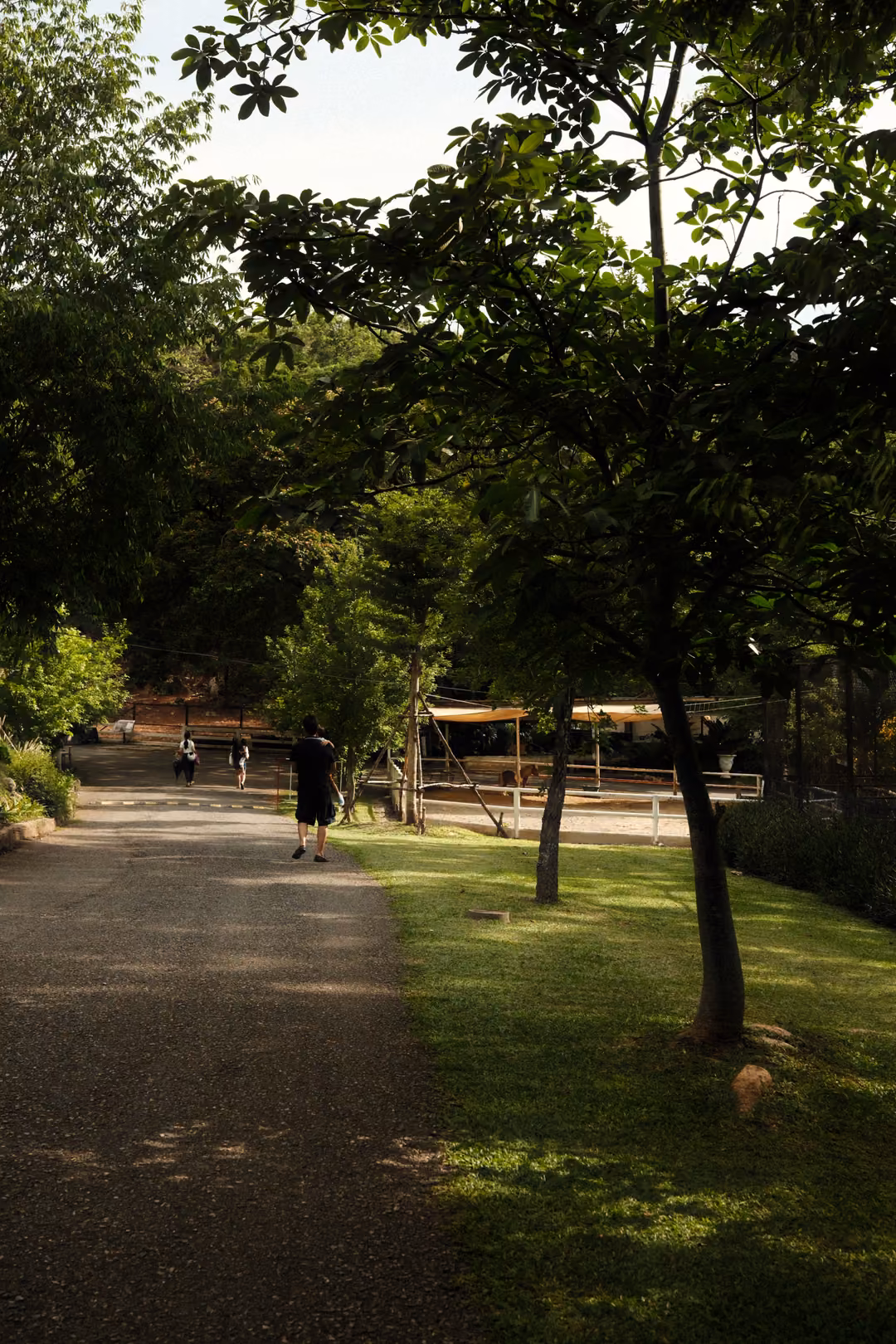 Path running beside a sunlit lawn under leafy trees, with a few people walking in the distance