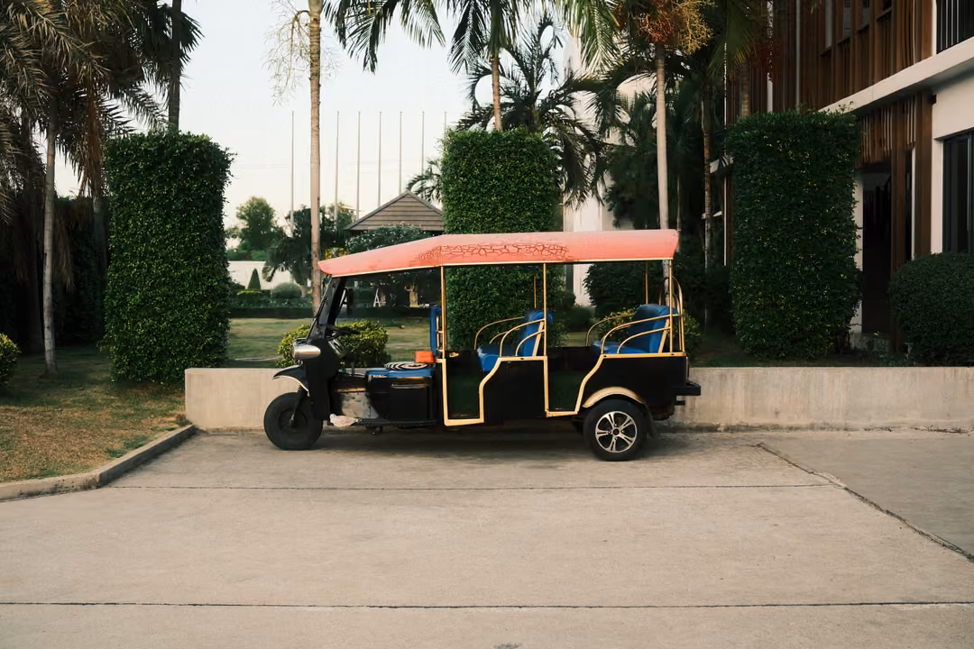 A tuk-tuk with a pink canopy and blue seats parked on concrete in front of tall clipped hedges and palms