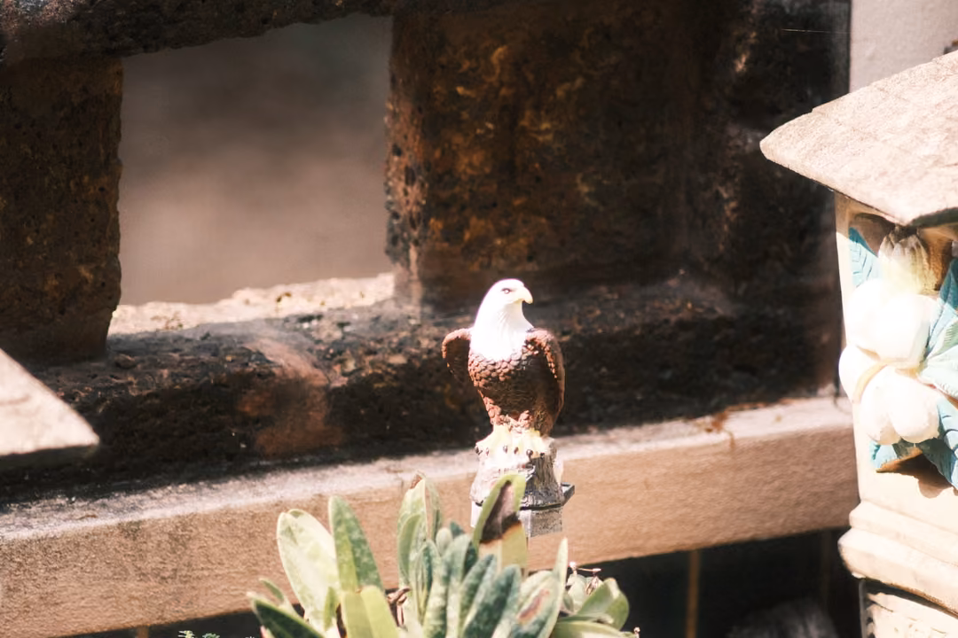 A small eagle figurine on a wooden ledge in front of a rough carved wall, spiky leaves below.