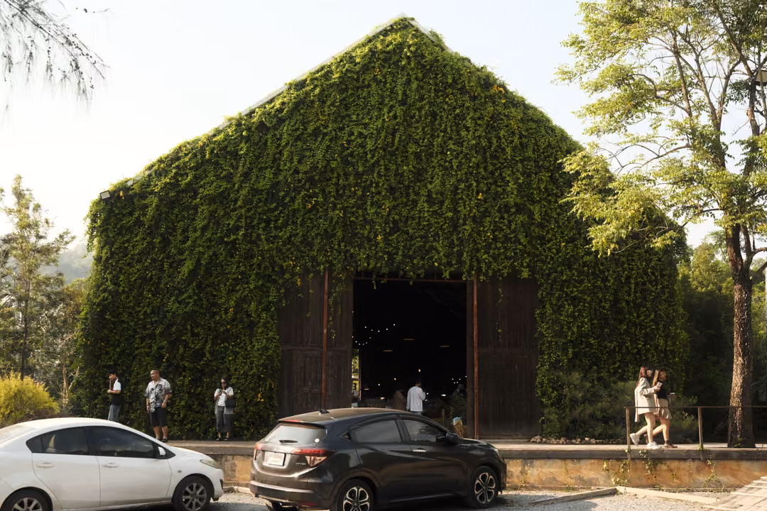 A tall barn completely covered in green ivy, its wooden doors open, cars and visitors in front