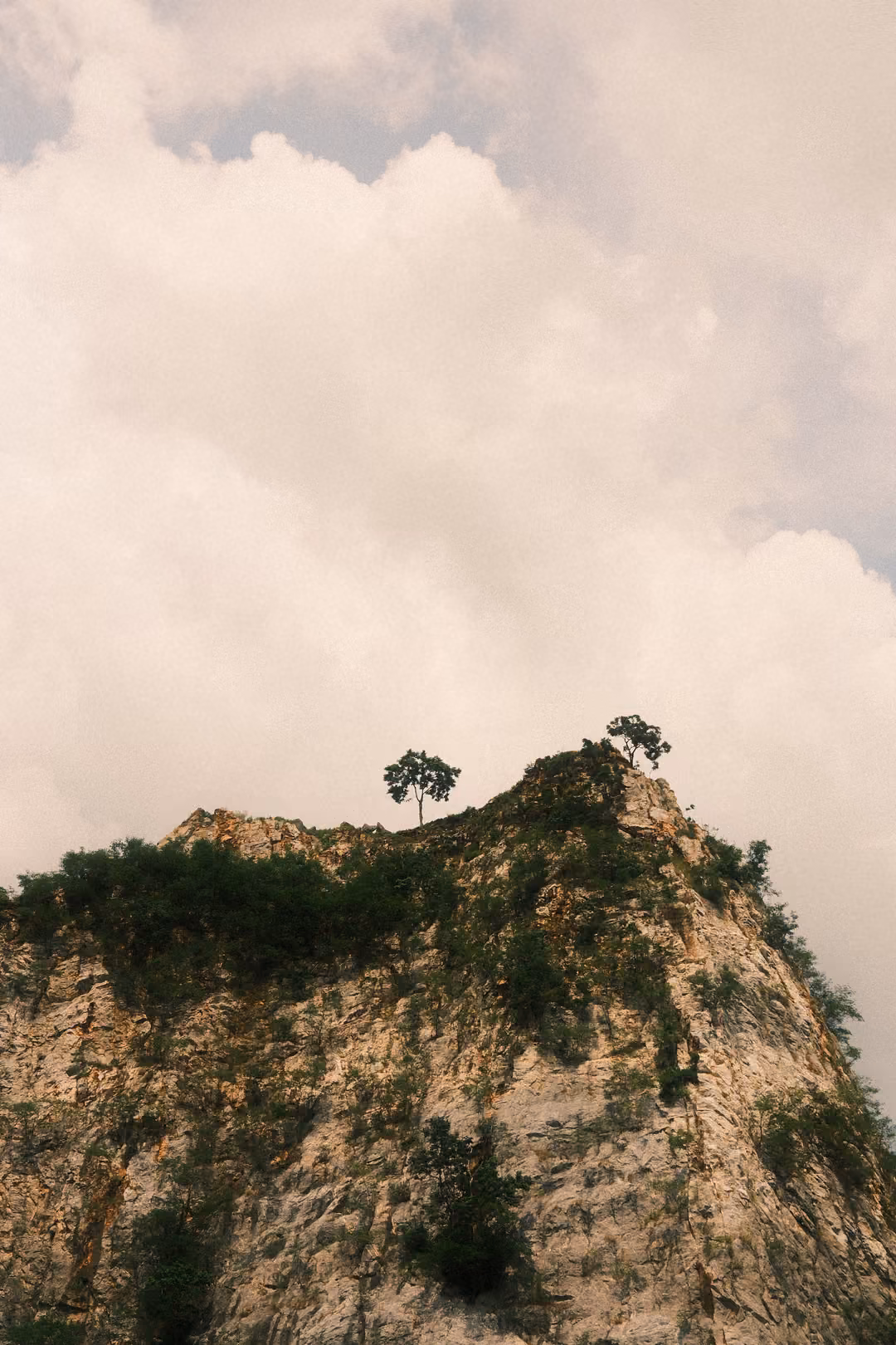 Top of a limestone crag with two small trees on its peak against a large cloudy sky
