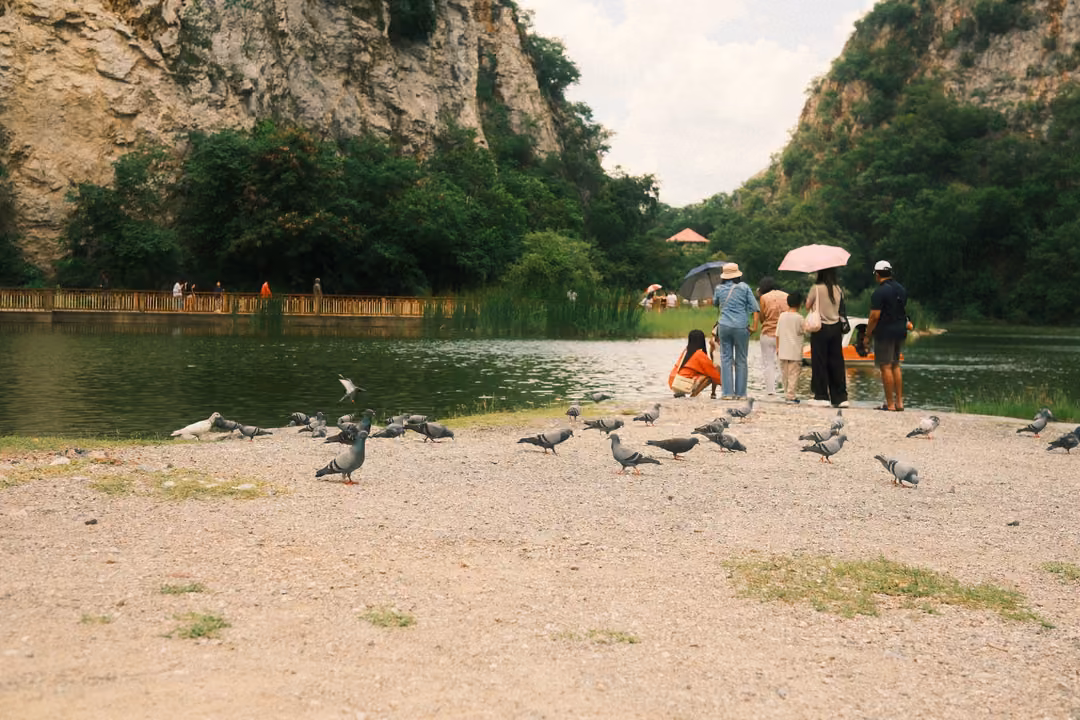 Flock of pigeons on a gravel shore by a lake, visitors with pink and white umbrellas standing nearby