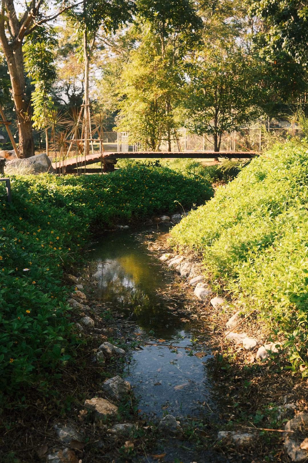Narrow stream running between lush green banks toward a small wooden footbridge under trees