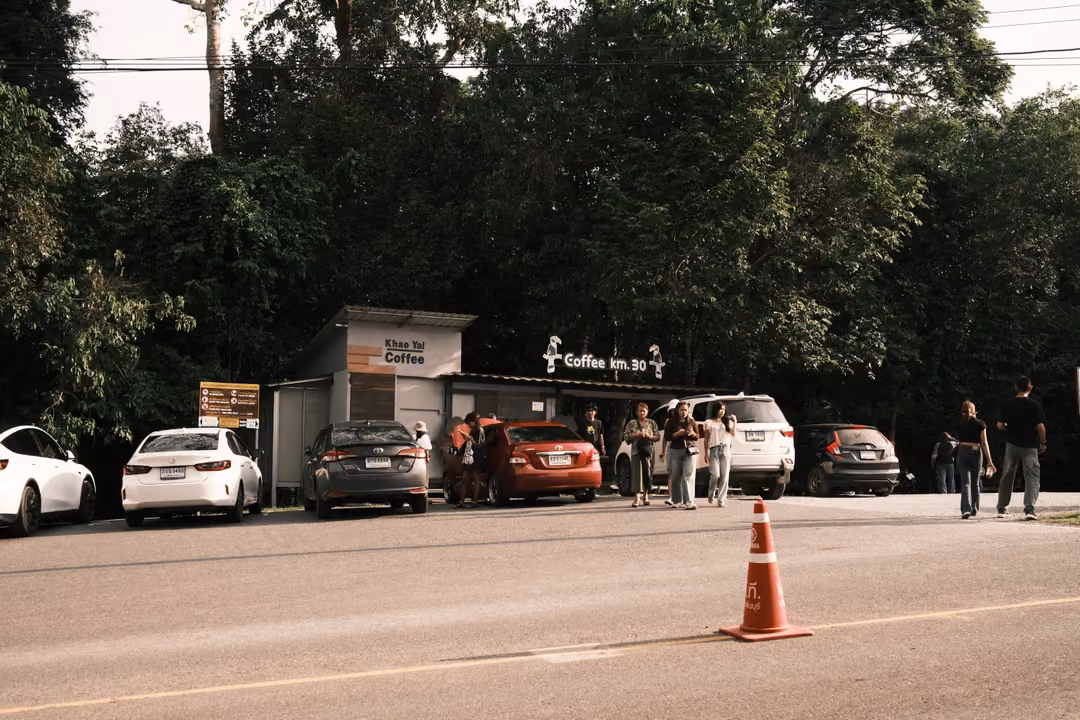 A small roadside coffee kiosk under tall trees, with parked cars, visitors and an orange traffic cone.