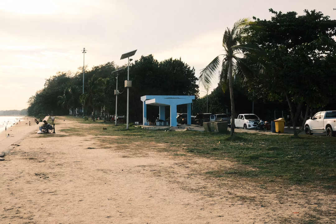 Sandy beach path lined with palms and trees, a blue shelter, lamp posts and parked cars under a pale sky
