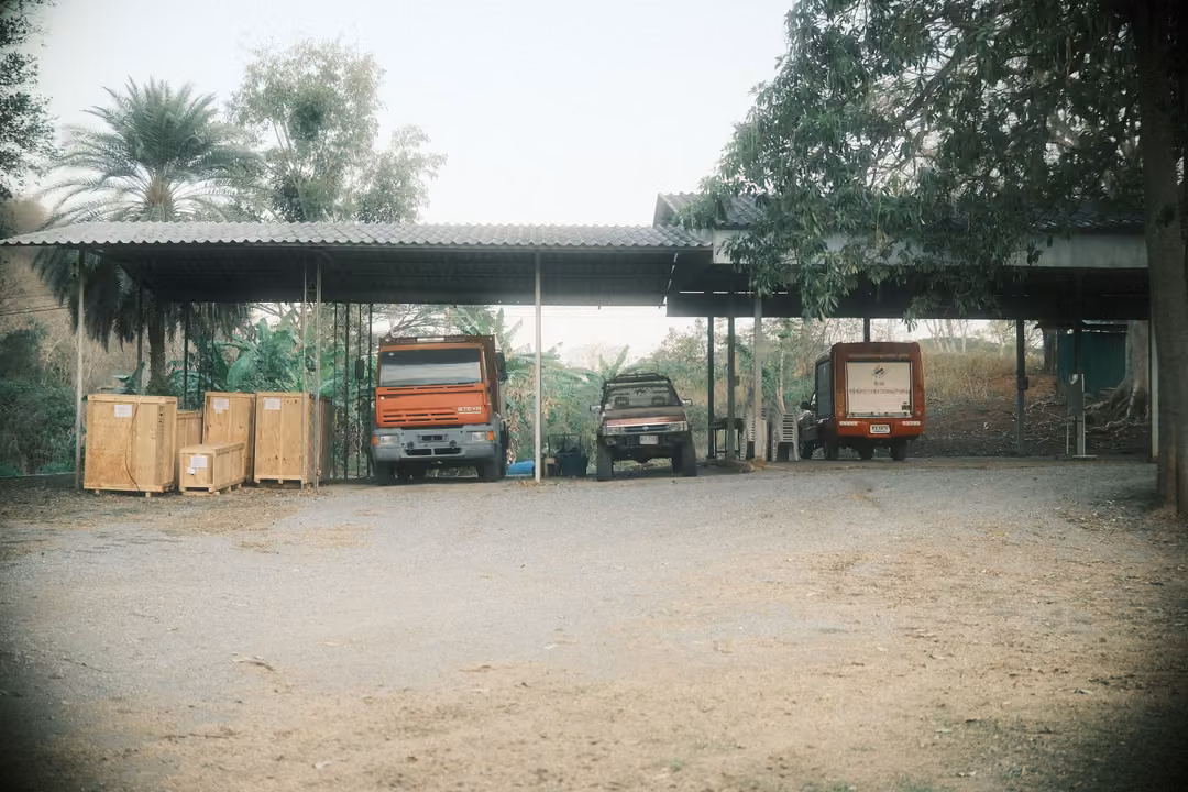 Open-sided shed with corrugated roof sheltering two red trucks, a small car and wooden crates, palm behind