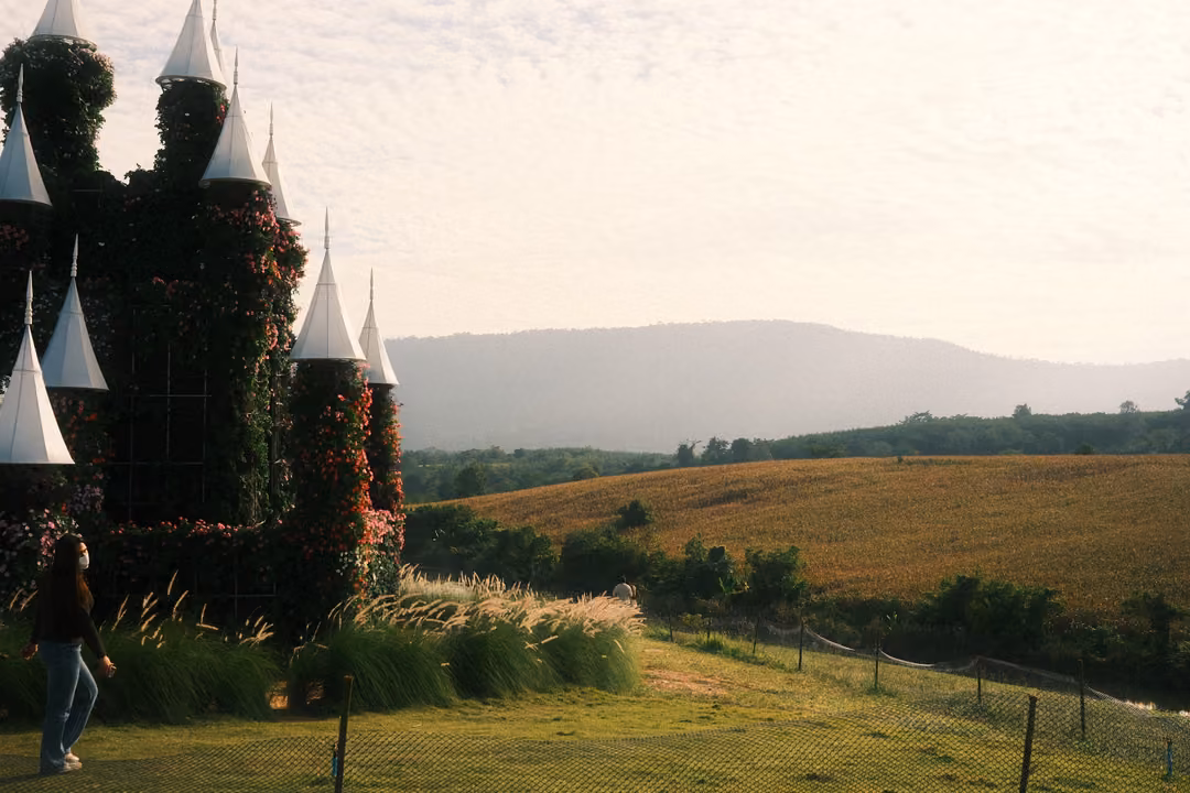 The edge of the flower castle beside a golden field, a mountain behind and a person walking by a fence.