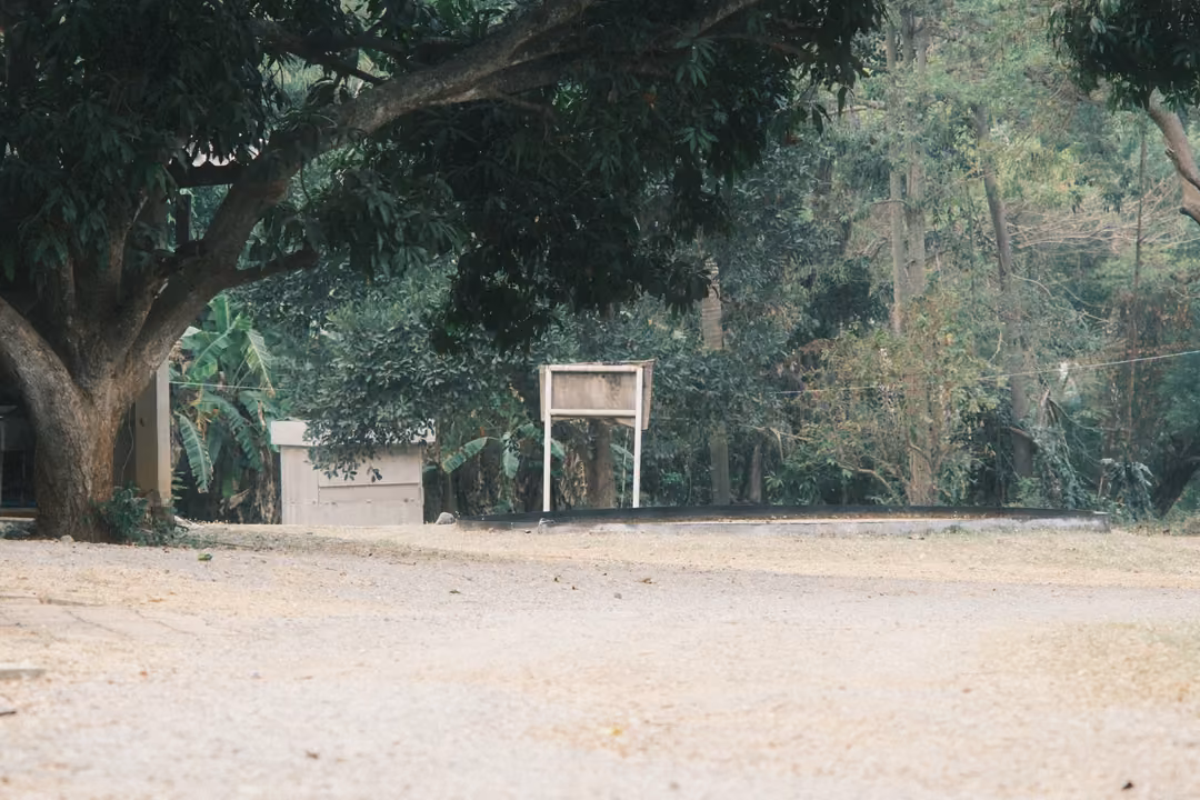 Large tree shading a dusty yard with a small white building and an empty signboard on posts