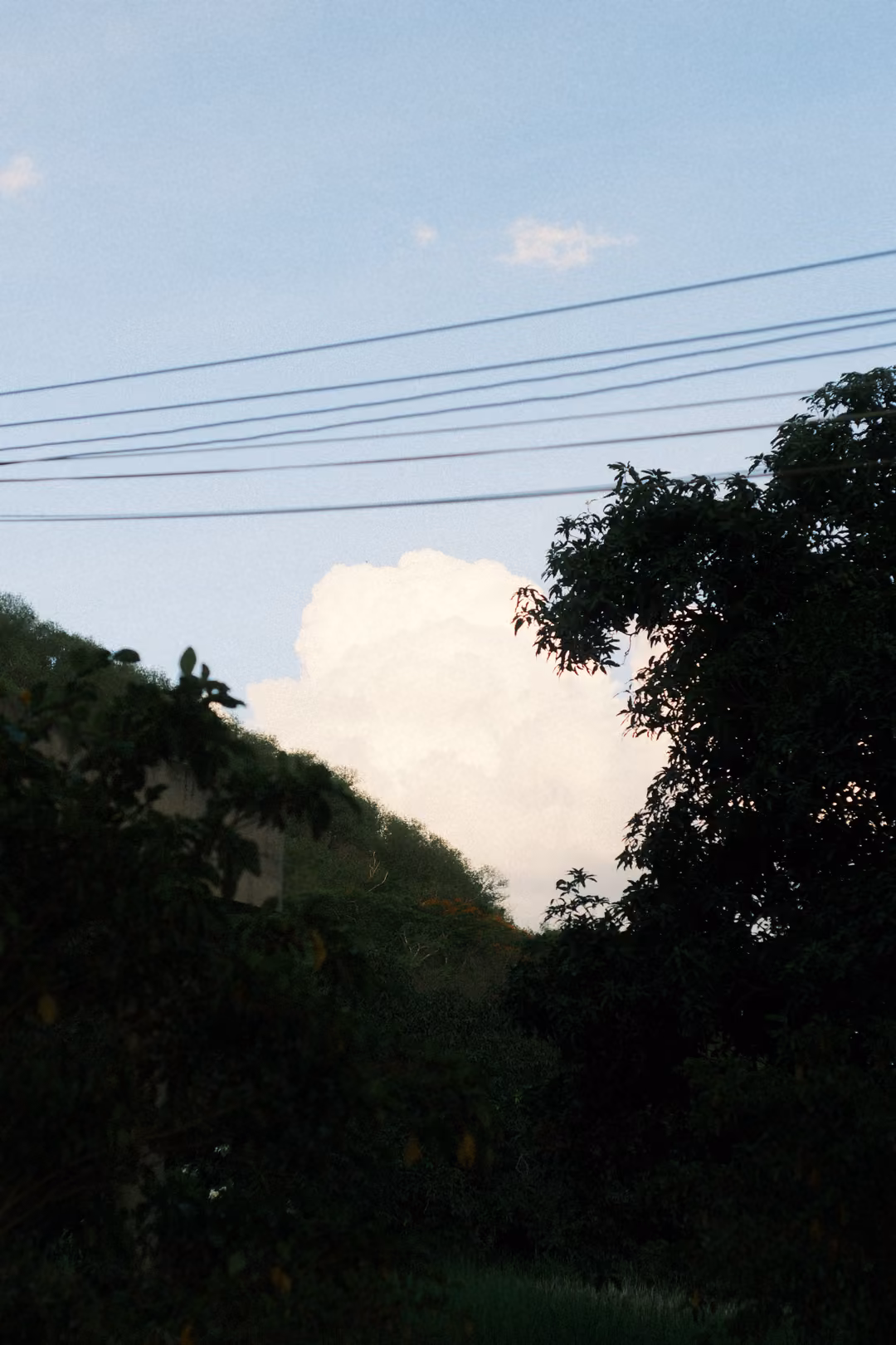 Power lines crossing a blue sky with a white cloud above dark silhouetted trees and a hillside.