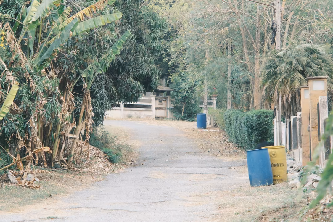 Narrow lane lined with banana plants and hedges, blue and yellow barrels and gate pillars on the right