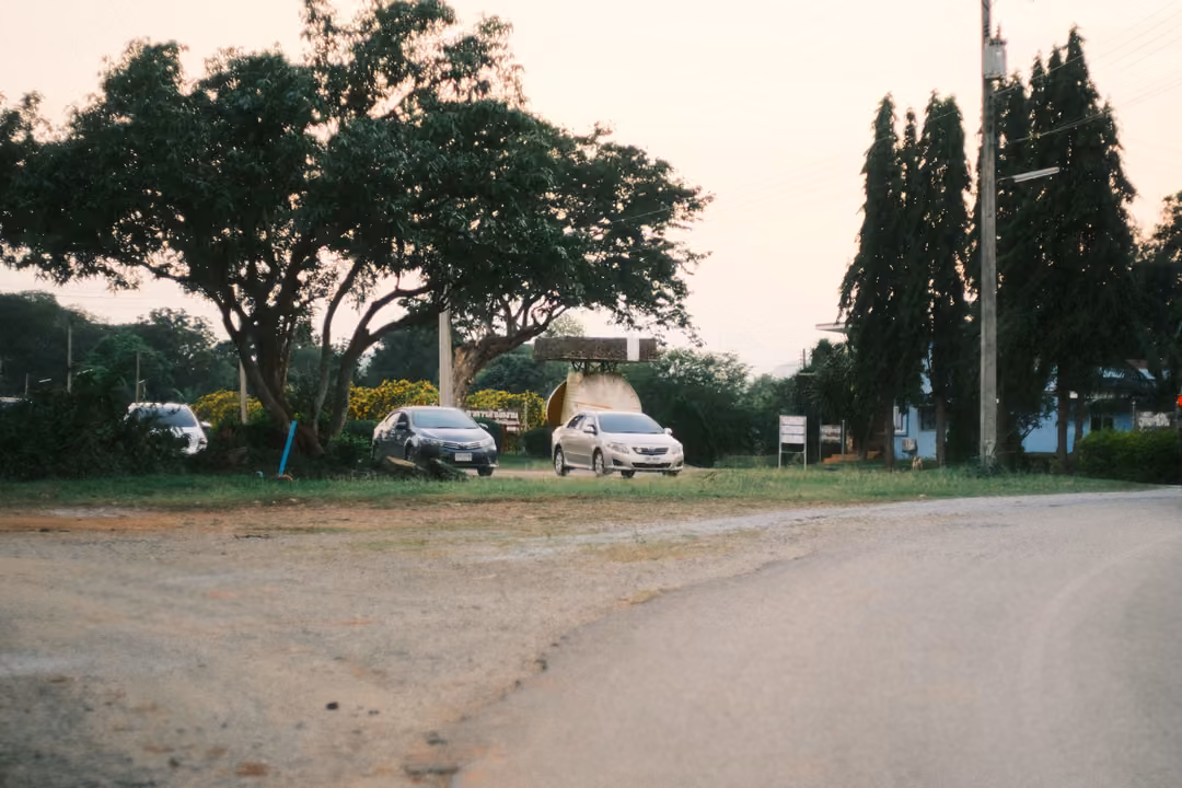 Parked cars under large spreading trees beside a road, gravel in the foreground