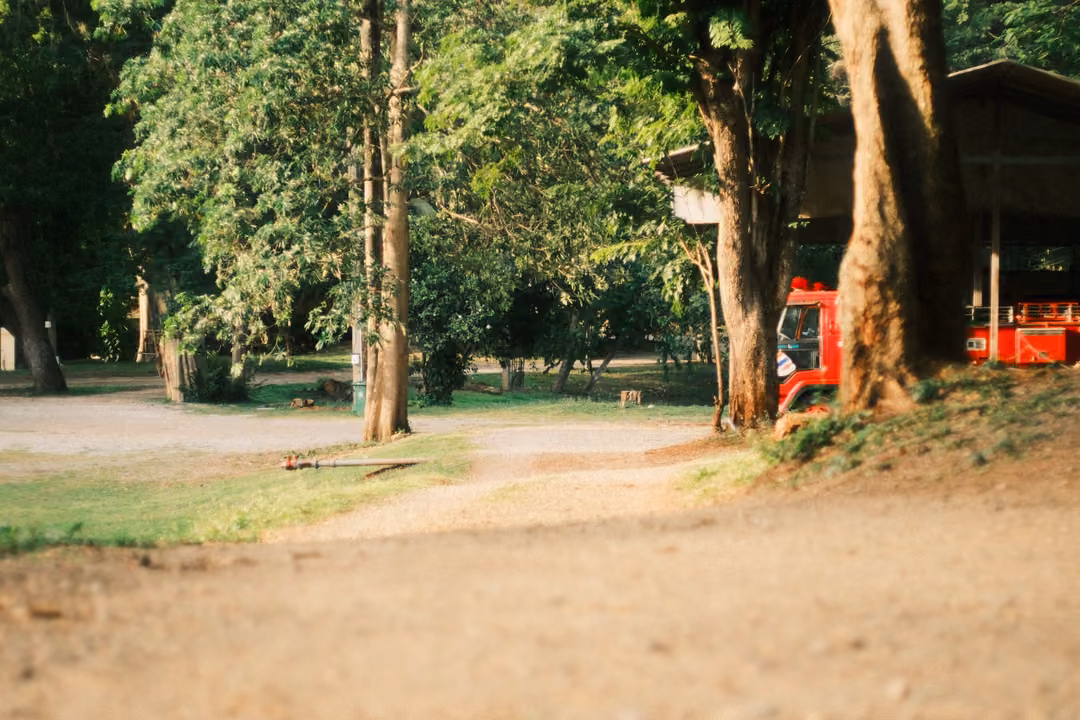 A dirt path curving past tall trees toward a shelter where a red truck is parked.
